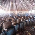 Unusual Photos That Look Like They Belong in a Modern Art Gallery