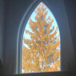 My Neighbor’s Tree Fits Perfectly In My Window - Perfectly Aligned Photos