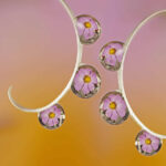 Droplets and flowers by Ivan Radkov - Water Drops Of Macro Photos